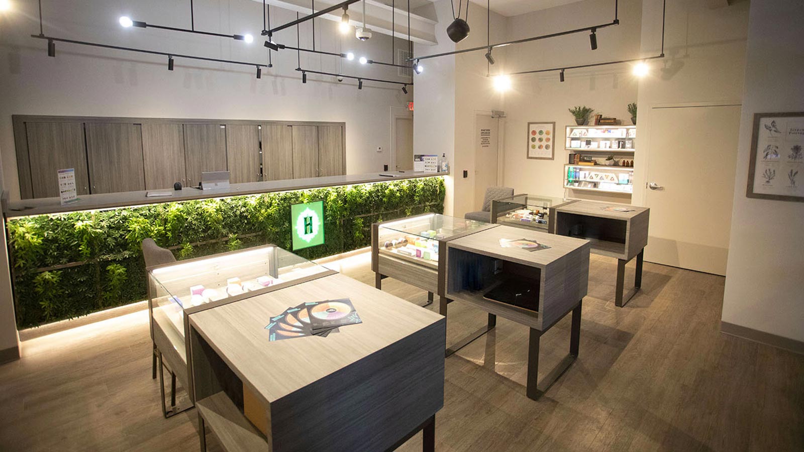 Curaleaf King of Prussia Calypso Enterprises