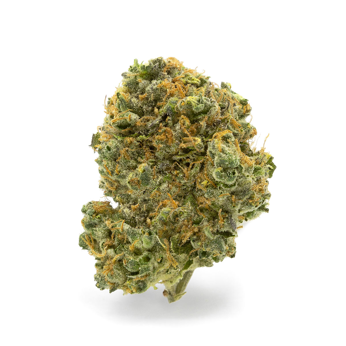 CANNABIS×Barbudos×yasuhide ono3点セット CANNABIS×Barbudos×yasuhide ono3点セット CANNABIS×Barbudos