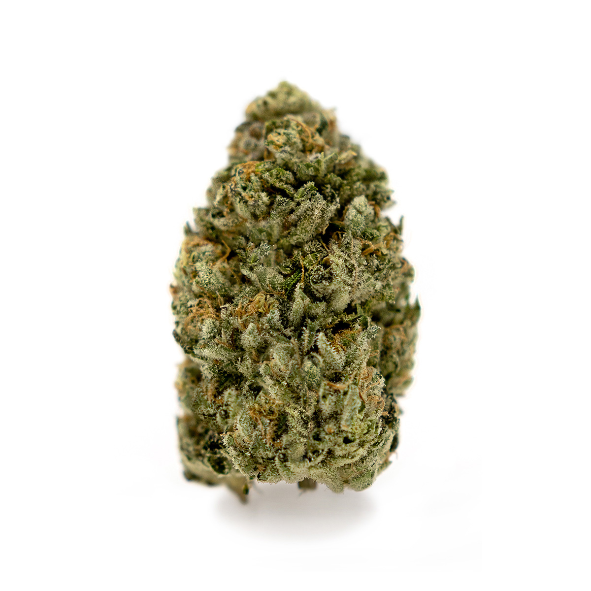 Fruit Pie Calypso Enterprises